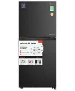 Tủ lạnh Toshiba Inverter 182 lít GR-RT236WE PMV(68)